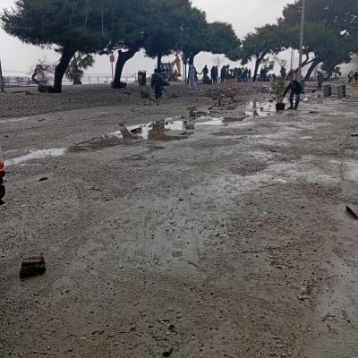 Photo 2026 01 21 16 39 25 1